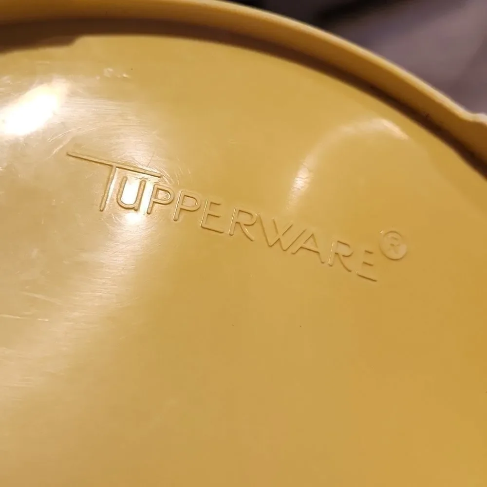 Vintage Tupperware Tortilla Storage  Container